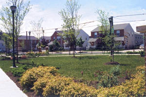 West Poplar park and homes