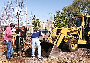 Kensington and Fishtown tree planting