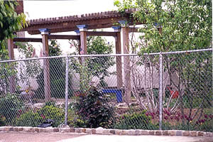 Kensington and Fishtown garden with pergola